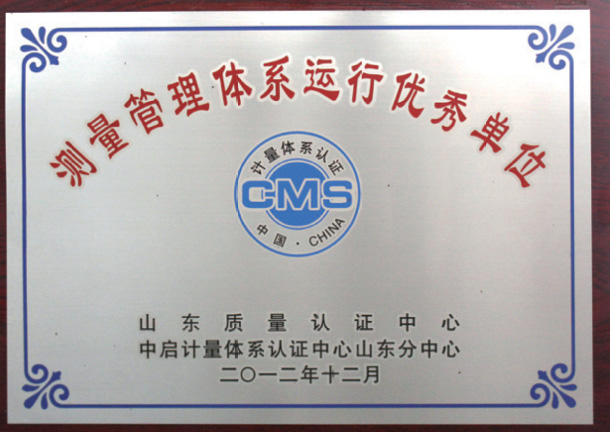 测量管理体系远行优秀单位