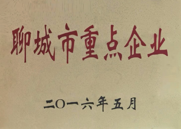 聊城市重点企业